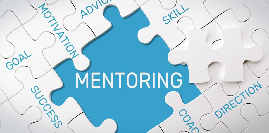 T.E.A.M. Link mentoring program — puzzle pieces representing goal, motivation, advice, skill, success, coaching, direction